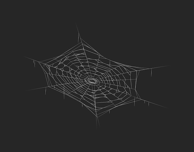 Frightening cobweb hanging in shadow realistic vector icon