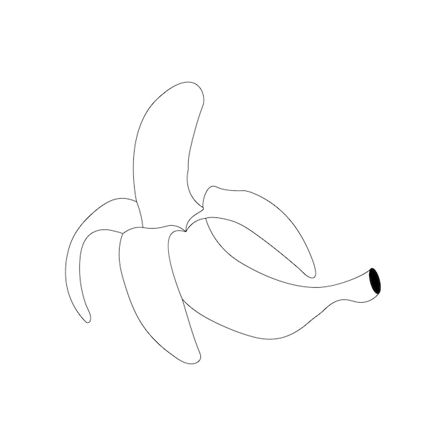 Fruit Coloring Page Banana hand Drawn Line Art
