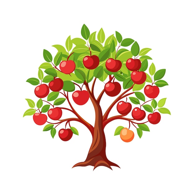 fruit trees flat style vector illustration concepts