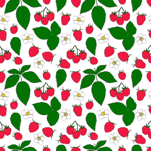 Fruits berries doodle Healthy food background A set of seamless pattern with Raspberry