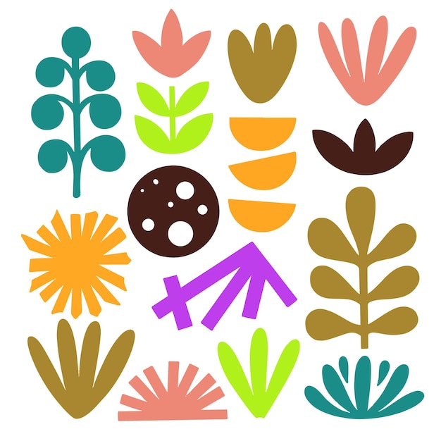 FULL COLOUR BOTANICAL PATTERN