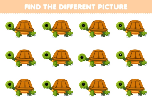 Game for children find the different picture of cute cartoon turtle printable pet worksheet