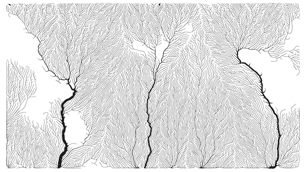 generative branching structure