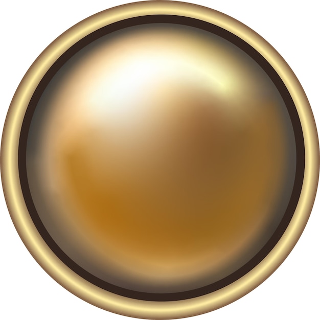 golden button with reflection