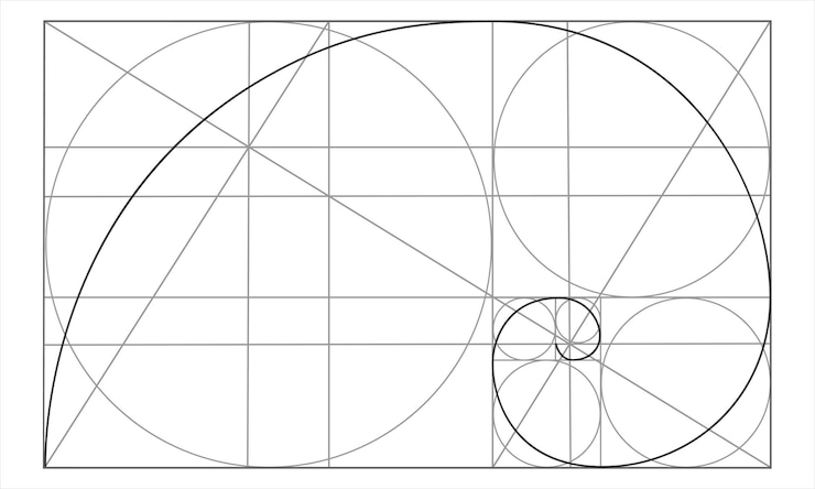 Vektor golden ratio template logarithmic spiral nautilus shell shape ideal symmetry proportions grid