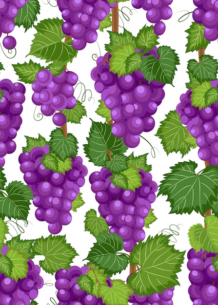 Grape vine seamless pattern