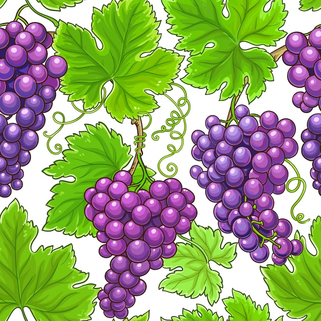 grapes branches vector pattern on white background