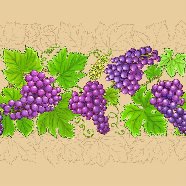 grapes horizontal pattern on color background