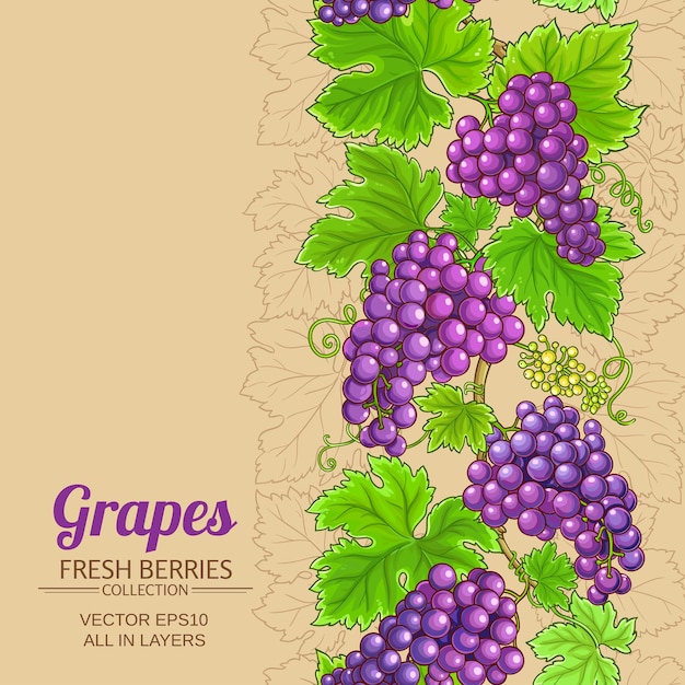 grapes vector pattern