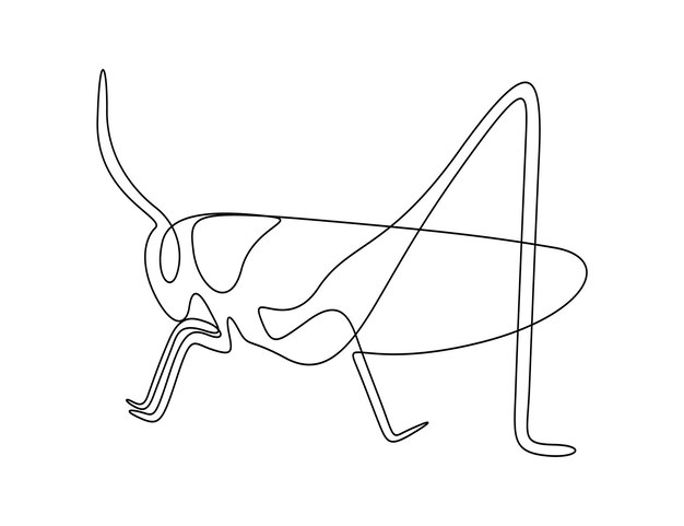 Grasshopper in one continuous line drawing vector illustration