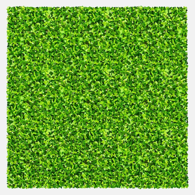 Green grass field background Texture of green lawn grass Green grass seamless texture