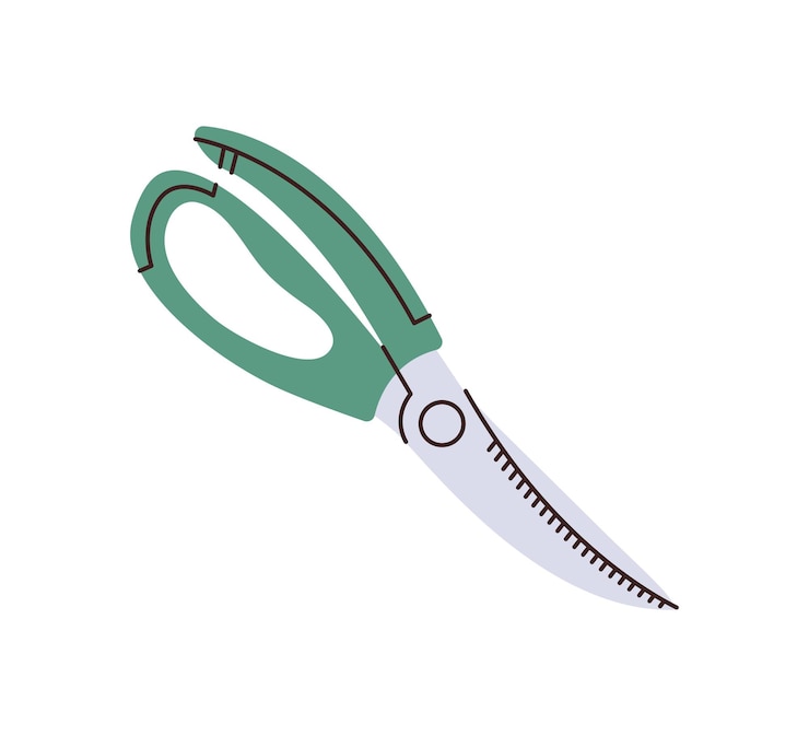 Vektör green poultry shears isolated on white background concept of kitchen scissors cooking utensil tool hand drawing vector flat illustration