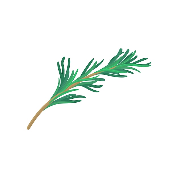 Green sprig of tarragon Natural product Flat vector icon of plant used in culinary Herbs and spices theme