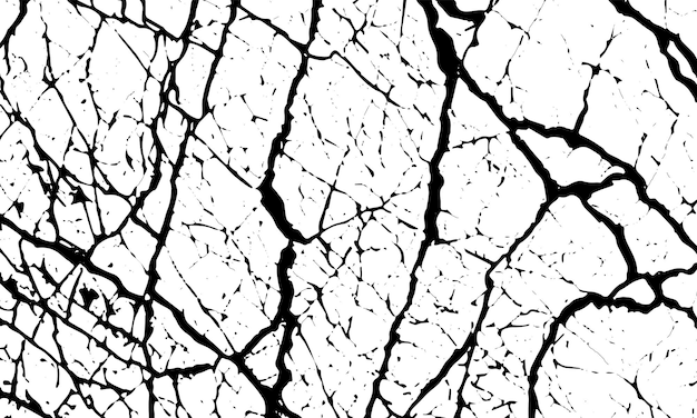 Grunge black texture of stone cracks veins stripes lines Vector background