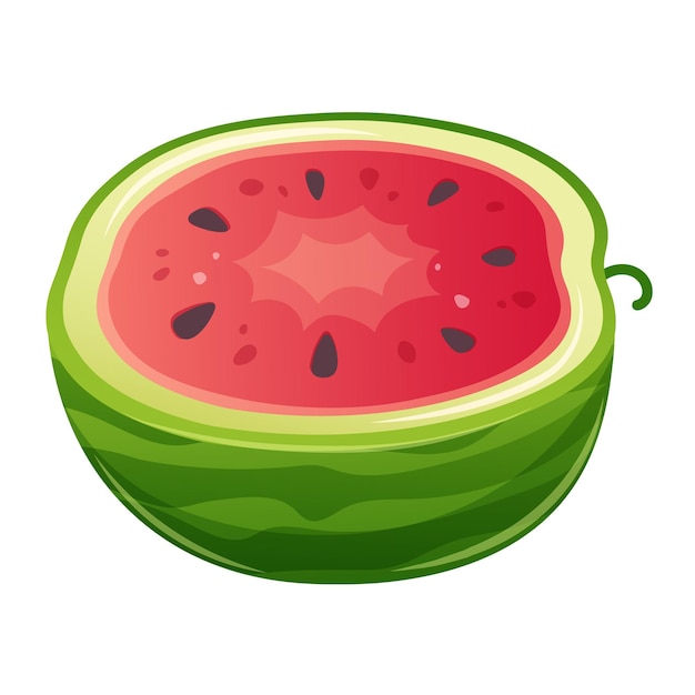 half of cut watermelon on white background vector cartoon design element of watermelon flavor summer