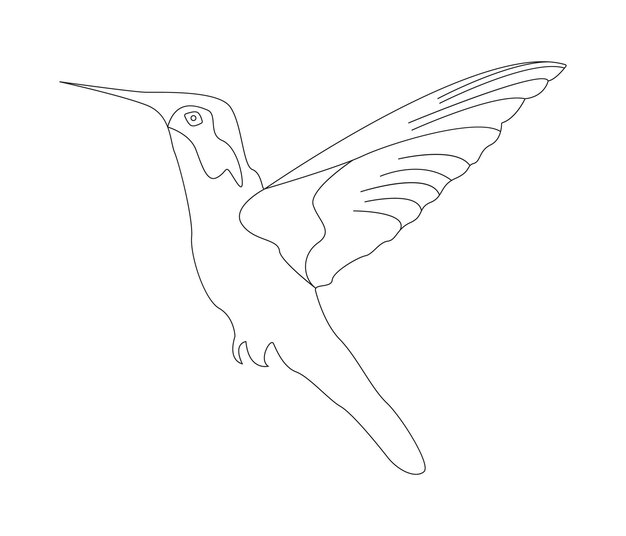 Hand drawn bird outline illustration and line art vector