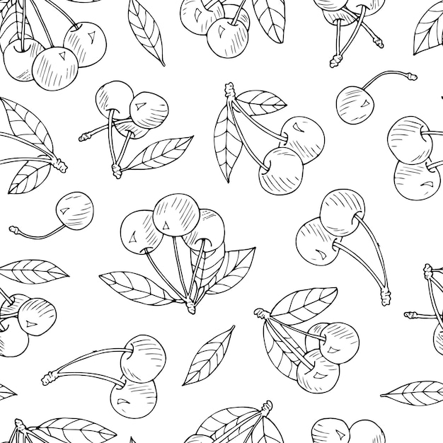 Hand-drawn Cherry and Leaf Illustration