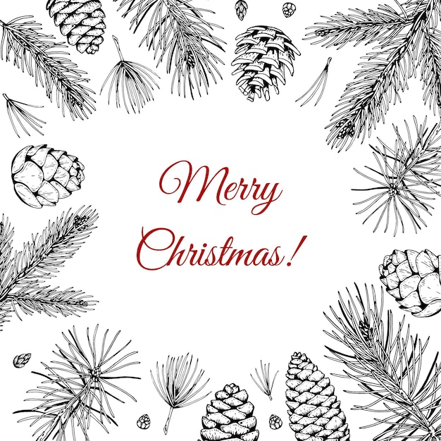 Hand drawn Christmas and New Year design with fir tree and pine tree branches