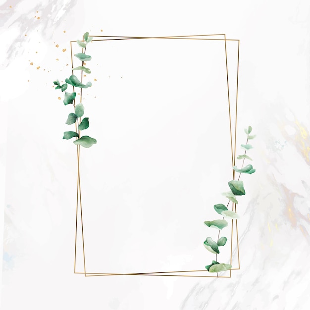 Hand drawn eucalyptus leaf with rectangle  gold frame vector