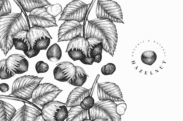 Hand drawn sketch hazelnut design template.