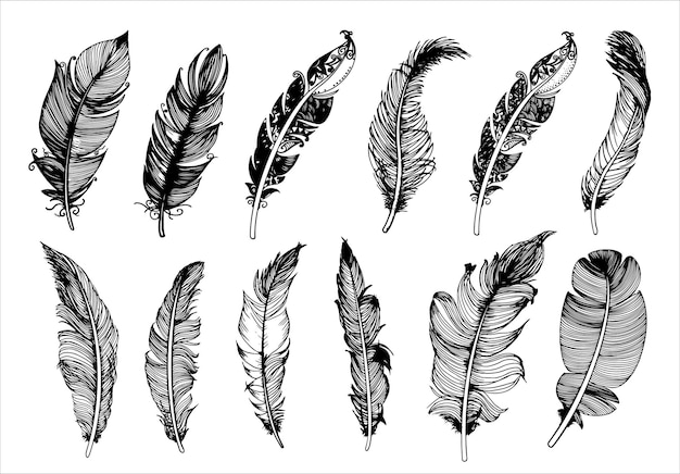 Hand drawn vintage feathers set Vector illustration