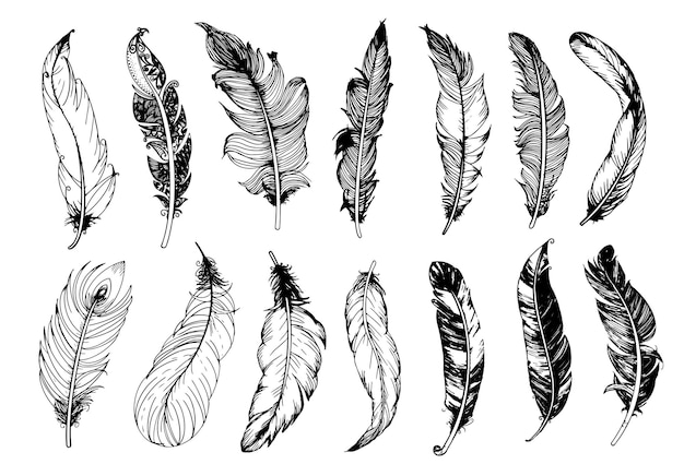 Hand drawn vintage feathers set Vector illustration