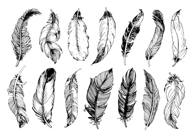 Hand drawn vintage feathers set Vector illustration