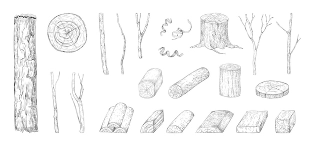 Hand drawn wood log Sketch of tree trunk and plank Wooden branch and lumber Natural timber construction materials Monochrome stump Sawmill elements Vector engraving plants set