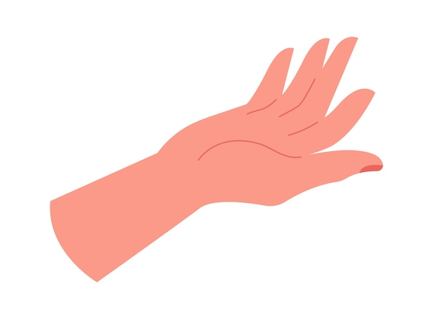Hand flat icon Palm up showing product
