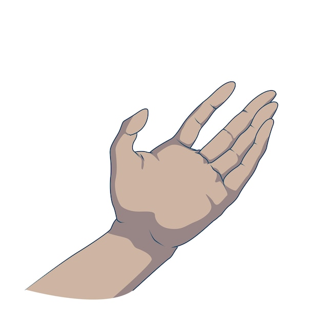 hand vector illustration open hand icon vector