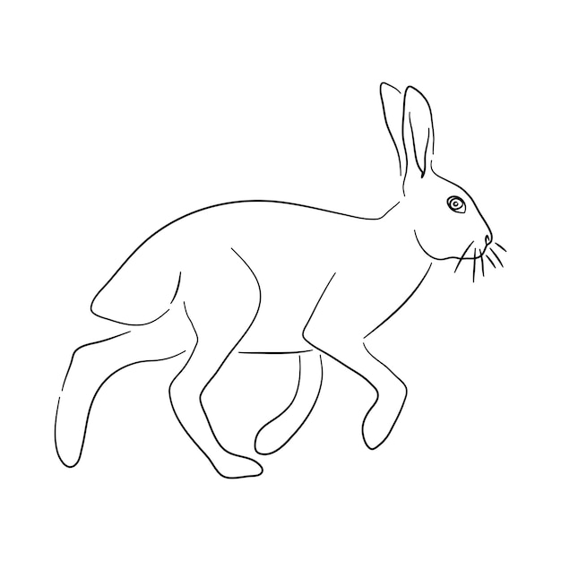 Handdrawn Hare Sketch vector illustration