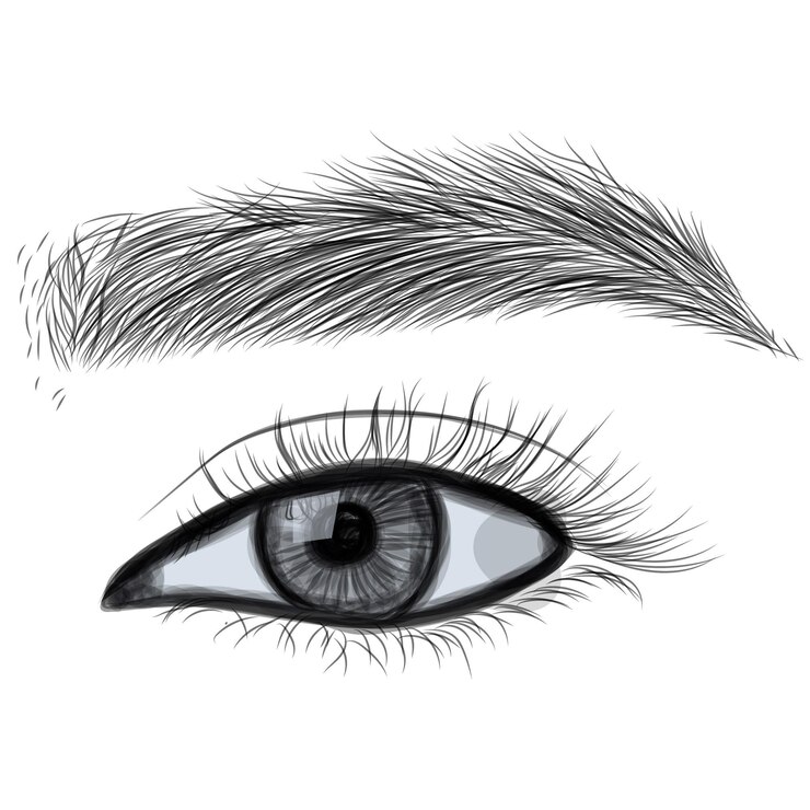 Handdrawn womans  luxurious eye with perfectly shaped eyebrows and full lashes