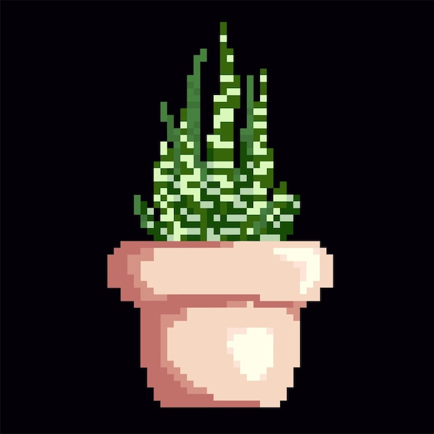 haworthia succulent pixel art plant nature vector illustration