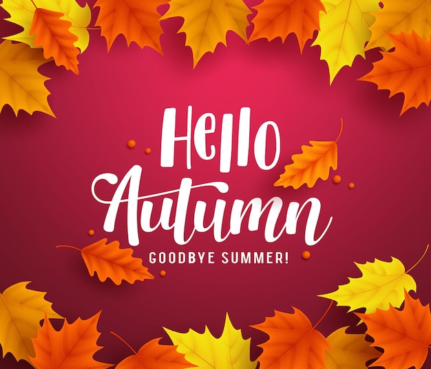 Hello autumn vector background template with autumn typography and maple leaves