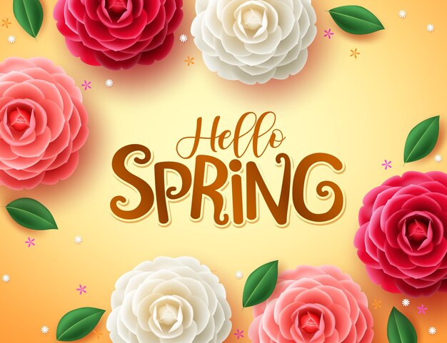 hello spring text vector concept design. hello spring greeting design in camellia and roses.