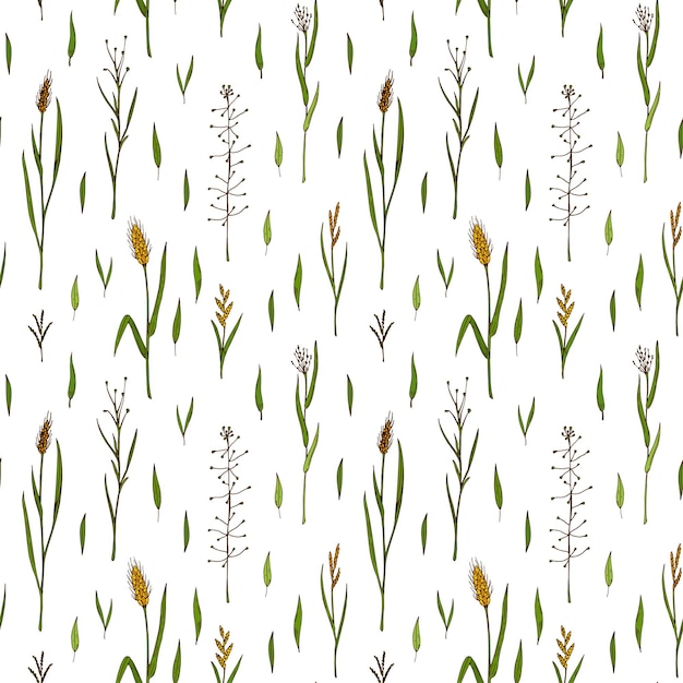 Herbal summer seamless pattern Colorful hand drawn vector illustration Botany design