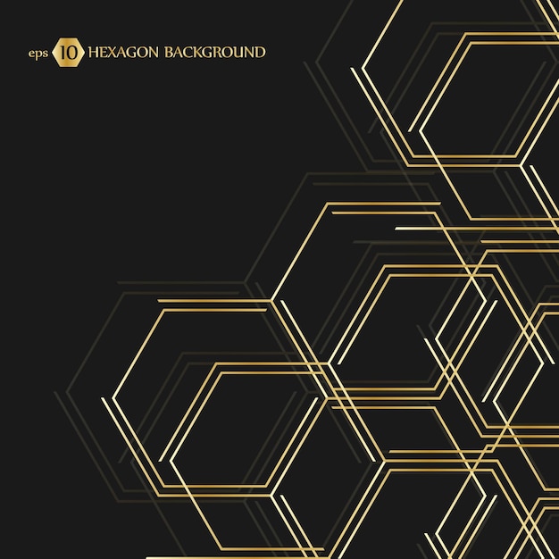 Hexagonal geometric background. Vector connection with lines and social network. Business presentation for your design and text. Minimal graphic concept. Eps 10 stock vector illustration.