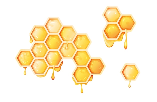 honeycombs on an isolated white background useful product suitable for prints textiles stickers etc