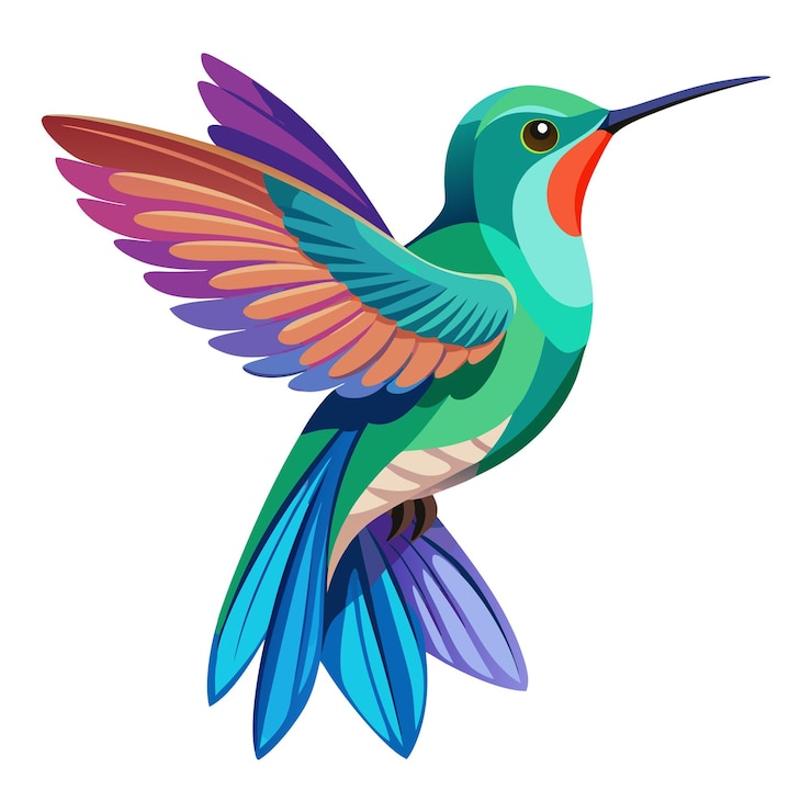 Vektor hummingbird bird flat style isolated on white background vector illustration