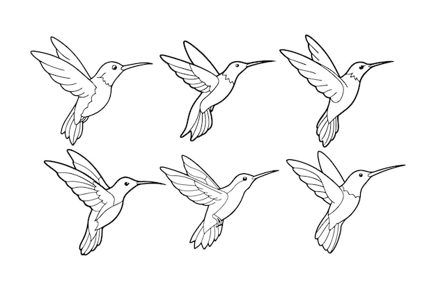 Hummingbird line art vector illustration Hummingbird line art Silhouette