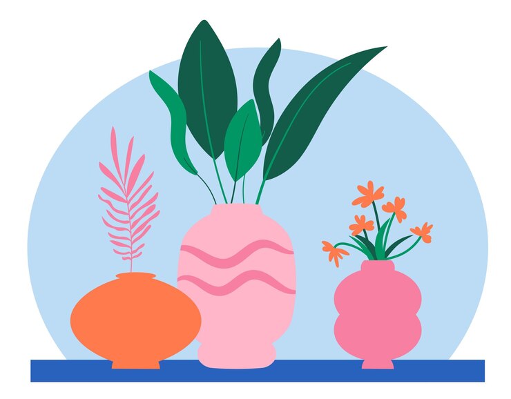 Indoor plants in colorful pots Home garden urban jungle