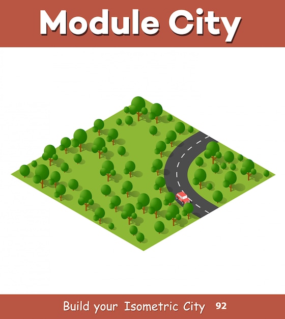 Isometric view projection
