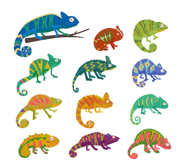 Jungle chameleons set snakes animals different colored desert lizard reptiles vector cartoon flat