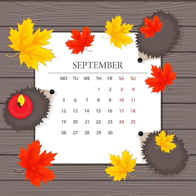 Kalender for måneden september et stykke papir efterårsblade og pindsvin på baggrund af træplader vektor illustration