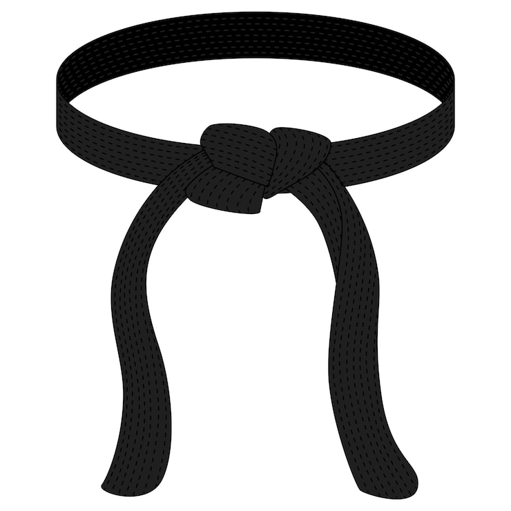 Vektör karate belt black color isolated on white background. icon of japanese martial