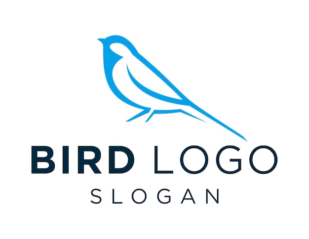 Kuş Logosu Design