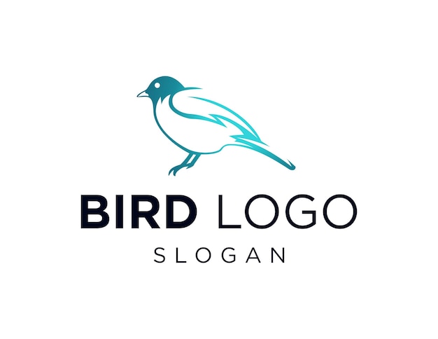 Kuş Logosu Design