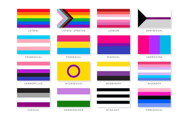 LGBTQ Pride Flags A Guide to Sexual Orientation and Gender Identity