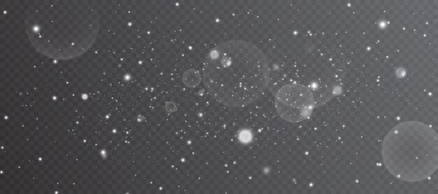 Light effect with lots of shiny shimmering particles isolated on transparent background Vector star