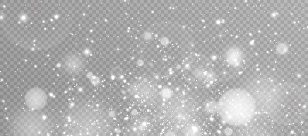 Light effect with lots of shiny shimmering particles isolated on transparent background Vector star